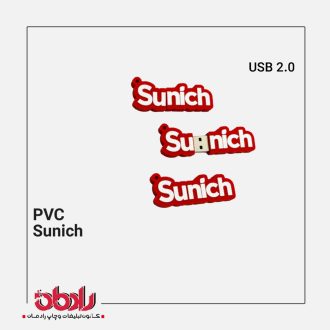 فلش مموری فانتزی PVC-2